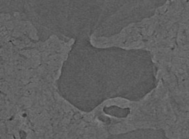 同じ構造を持つパン粉の拡大マイクロX線CT画像
